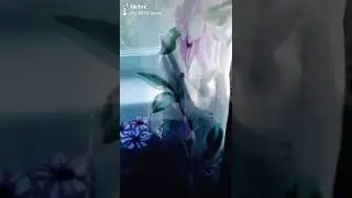 Это мой коте