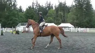Scotch On The Rocks, Kim J  2'6" Hunter, CVPC Show June 2023