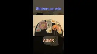[Fast ASMR] Tingly flowers on your ear 🌼🌸
