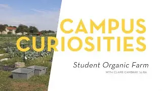 Campus Curiosity: Student Organic Farm