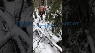 Found a dump from DT 55. Friends, new and cool videos coming soon!!!