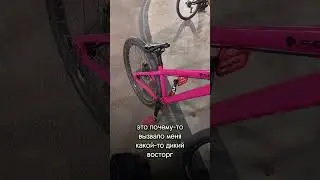 6 дней!