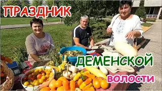 Праздник Деменской волости.