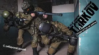 EFTarkov. Вайп?! Кто - что такое вайп?! Где вайп?!