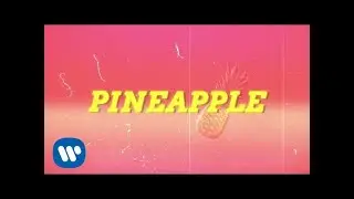 Ty Dolla $ign - Pineapple feat. Gucci Mane & Quavo [Lyric Video]