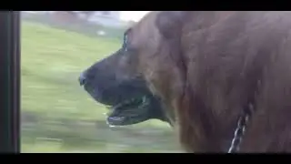 колхоз СВЕТЛЫЙ ПУТЬ