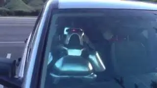 Cylon Co-pilot