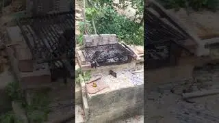 La Domenica in Campagna