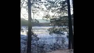 Видео для тех кто забыл звуки природы. Катунь, Усть-Сема