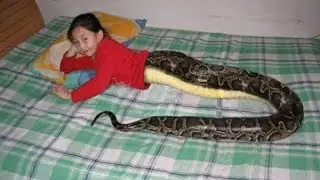 10 Kids You Wont Believe Actually Exist