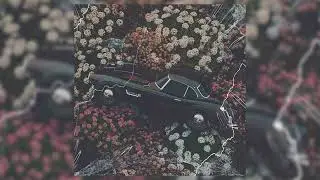 The Alchemist Loop Kit PreChopped Sample Pack | M3 | Griselda ,Conway, Freddie Gibbs