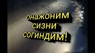 Мехрибоним онажон