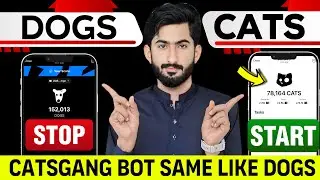 CatsGang Bot Like DogsHouse | Cats Coin Airdrop Withdrawal | Cats Coin Listing on Bitget