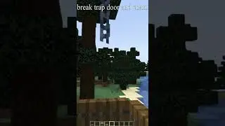 Minecraft : Easy Parrot House #shorts #minecraft