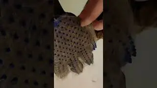 ходячий валенок