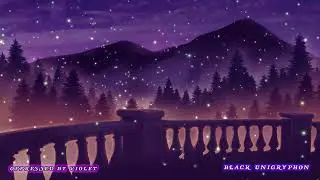 Night Balcony Lightning Bugs Audio 002