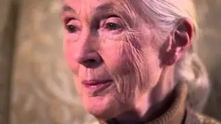 What does Dr. Jane Goodall think about Rupert Murdoch's purchase of National Geographic?