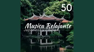 Música para Relajarse