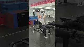 Alternating DB Overhead Press (One Up)