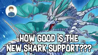 ARE THE NEW SHARK CARDS GOOD??? Discussion + Deck Profile! Yu-Gi-Oh!