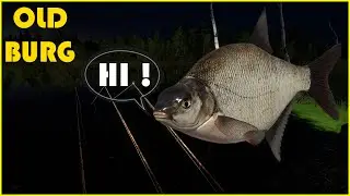 Very active Bream spot Leszcz Russian Fishing 4 Old Burg 354