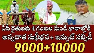 ఏపీ రైతులకు భారీ శుభవార్త|అన్నదాత సుఖీభవ+ఇన్పుట్ సబ్సిడీ 9000+10000 డబ్బులు జమ|annadata sukhibhava