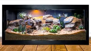 DIY Arid Desert Bioactive Vivarium for Blue Beetles