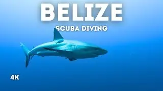 Scuba Diving in BELIZE (The Great Blue Hole) - Cinematic 4K