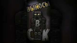 Типичные выносы в Сталкрафте (Stalcraft) 