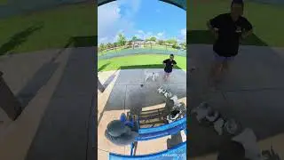 dog park day