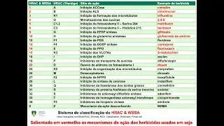 Classificação dos herbicidas