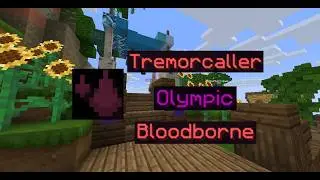 Wynncraft Sky Islands Lootrun 2.1.7 Shaman Acolyte box run