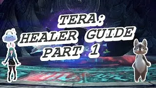 TERA: Healer Guide Part 1 ||Gear, Cards and General Tips||