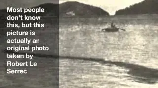 Hook Island Sea Monster