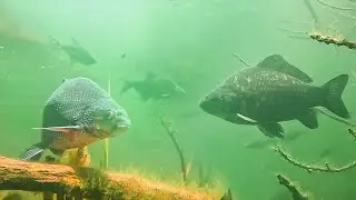 Майское безумие ч.2
