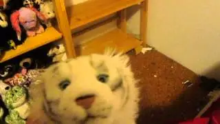 Any Video Ideas??