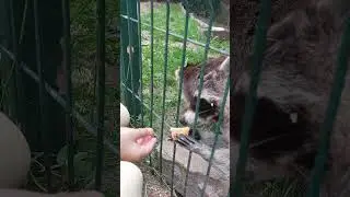 @Не лапки,а ручки!!!😊