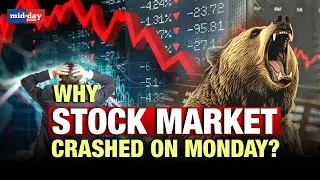 Stock market crash: What's the reason behind the stock market crash today? Expert explains