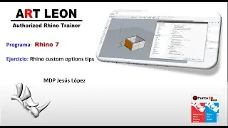 Rhino custom option tips