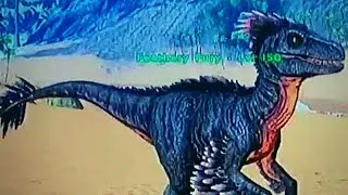 Return to the Mosh Pit - Getting Kibble Part 1- Ep.9 - Ark: Survival Evolved