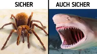70+ Fakten, die Sie sagen lassen: 