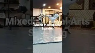 Mixed Martial Arts Sparring #mma #mixedmartialarts #sparring