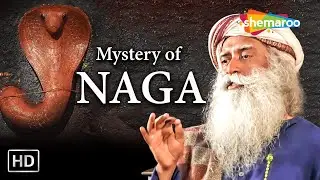 Mystery of Naga | Celebrate Nag Panchami With Sadhguru | Shemaroo Spiritual Life