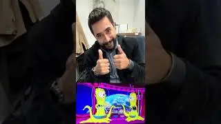 DE LA VOZ DEL CONGRESO, A VOZ EN LOS SIMPSONS!