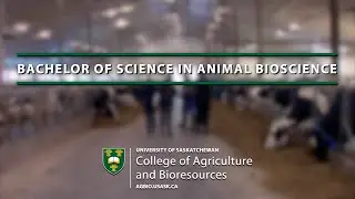 BSc in Animal Bioscience