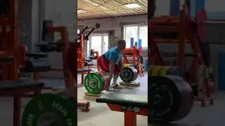 305