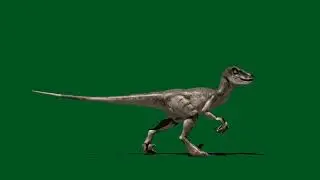 Dinosaur green Screen effects