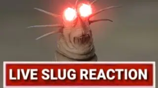 what the slug doin