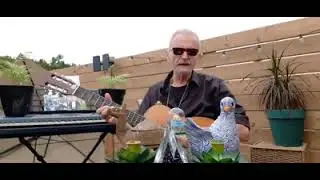 "Liljano, mome, ubavo", MKD-folk-song,