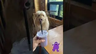 Taste of Death Grimac Shake Meme
